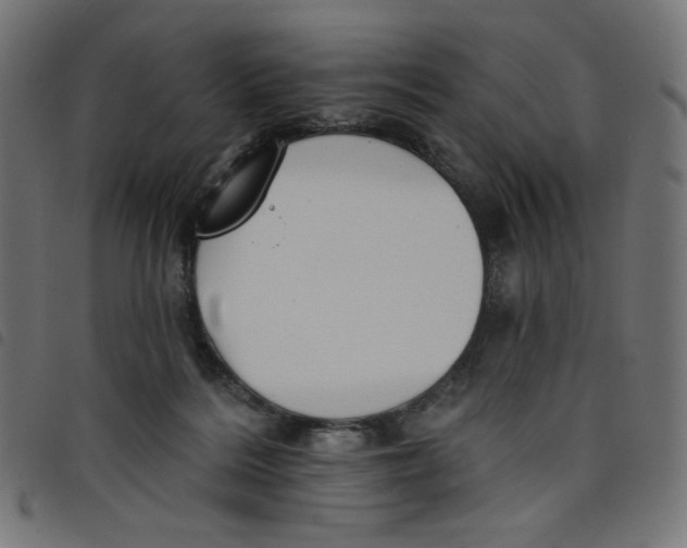 X0000098110220200804251435