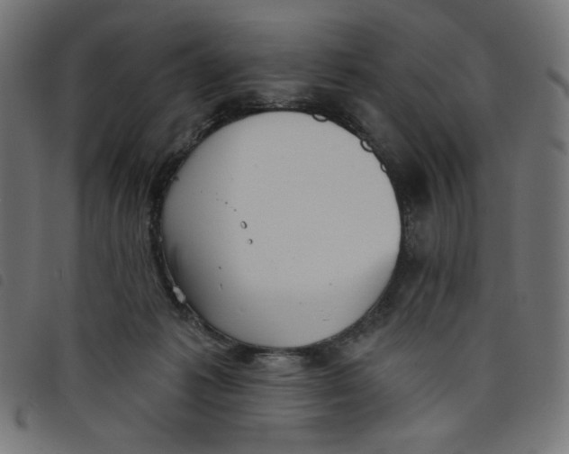 X0000098110221200804251435