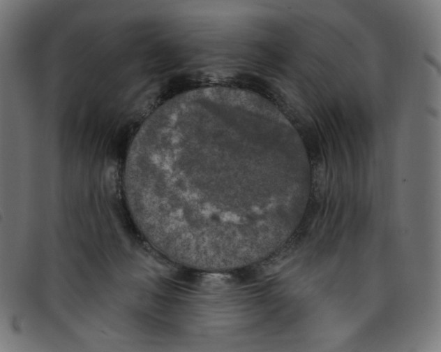 X0000098110222200804251435