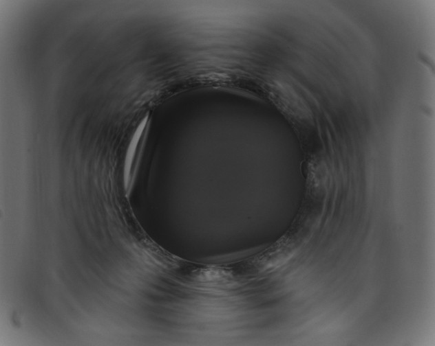 X0000098110223200804251435