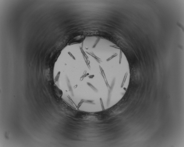 X0000098110224200804251435