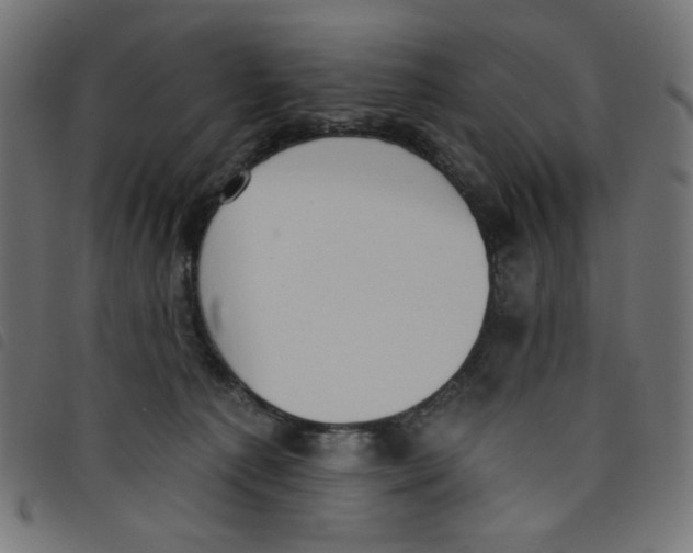 X0000098110225200804251435