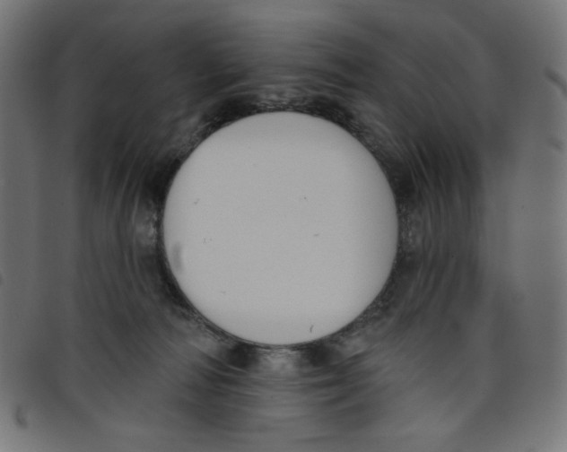 X0000098110226200804251435