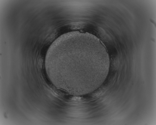 X0000098110227200804251435