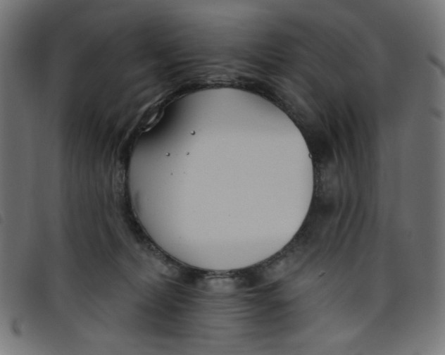 X0000098110228200804251435