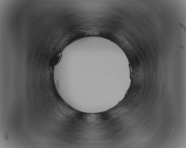 X0000098110229200804251435