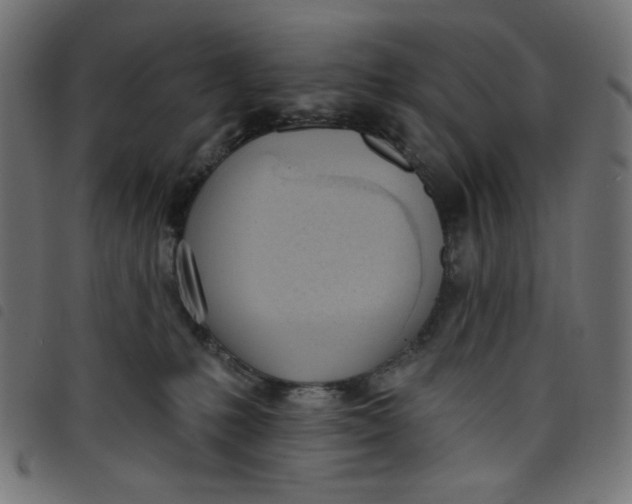 X0000098110231200804251435