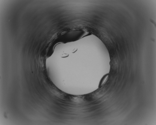 X0000098110232200804251435