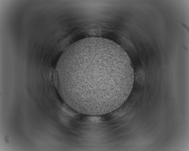 X0000098110233200804251435