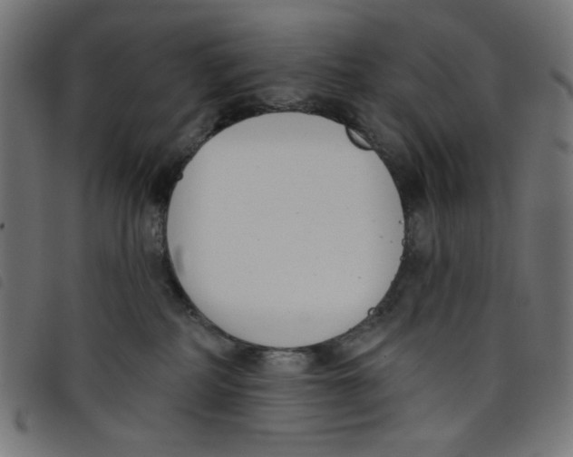 X0000098110234200804251435