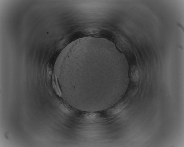 X0000098110235200804251435