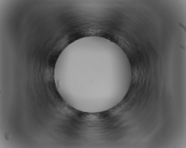 X0000098110236200804251435