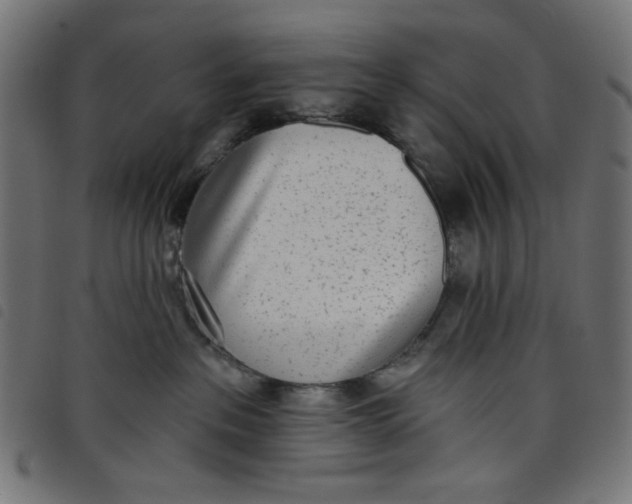 X0000098110237200804251435