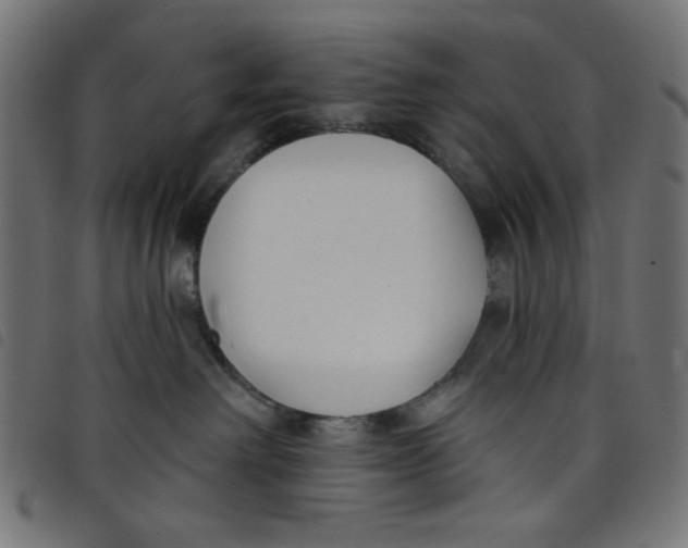 X0000098110238200804251435