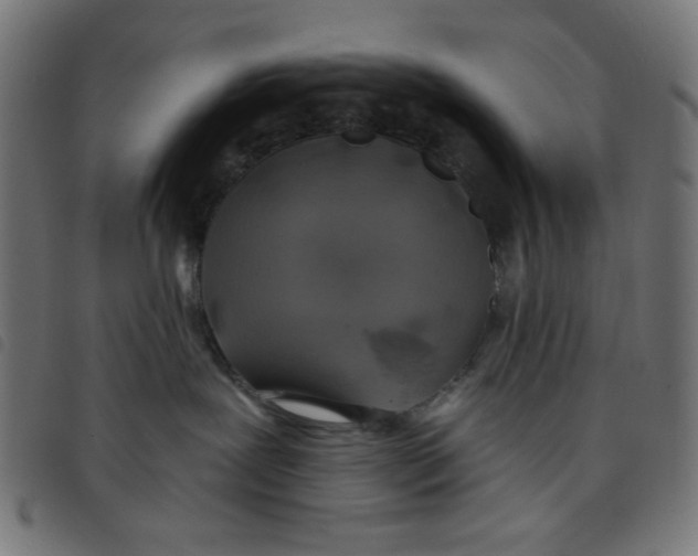 X0000098110239200804251435