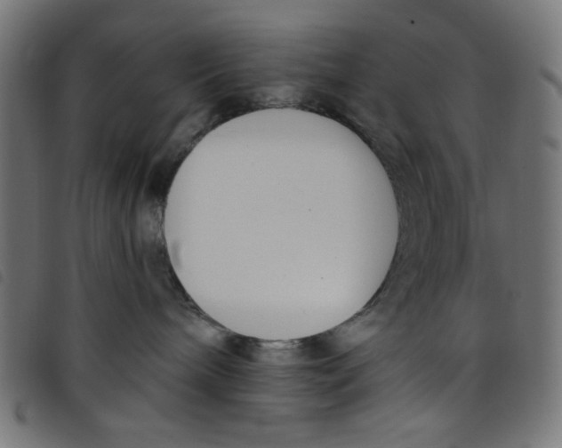 X0000098110240200804251435