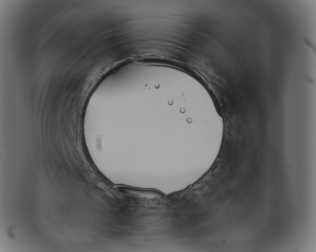 X0000098110241200804251434