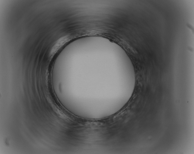 X0000098110242200804251434