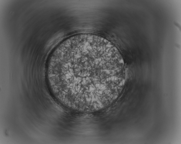 X0000098110243200804251434