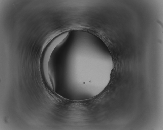 X0000098110244200804251434