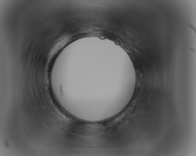 X0000098110245200804251434