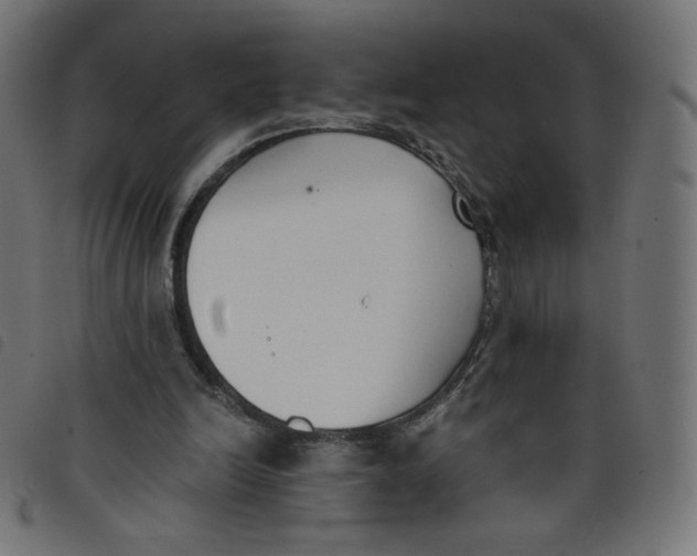 X0000098110246200804251434