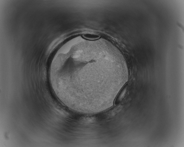 X0000098110247200804251434