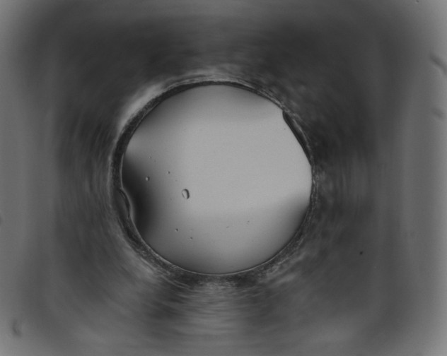 X0000098110248200804251434