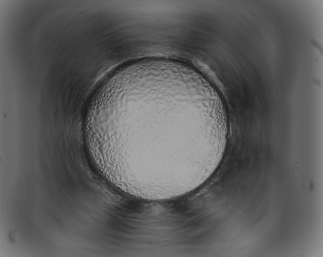 X0000098110249200804251434