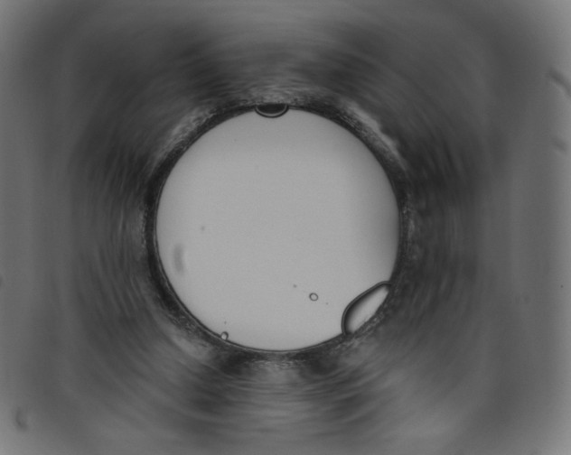 X0000098110250200804251434