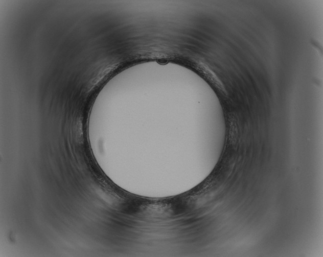 X0000098110251200804251434