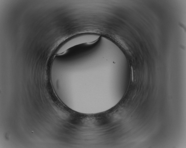 X0000098110252200804251434