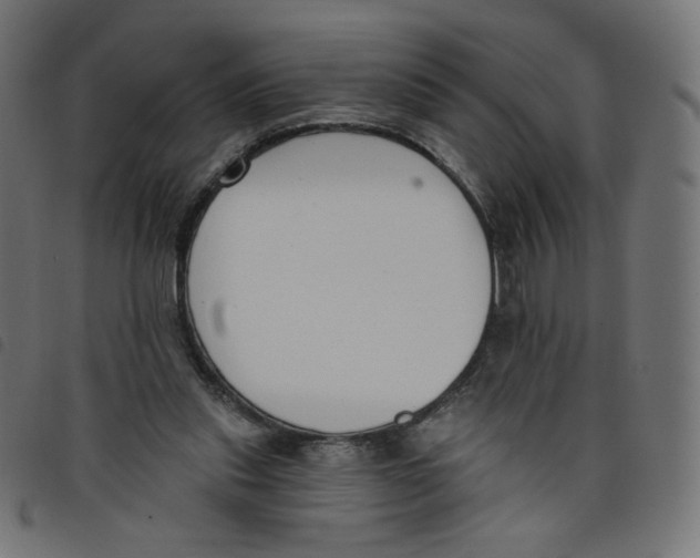 X0000098110253200804251434