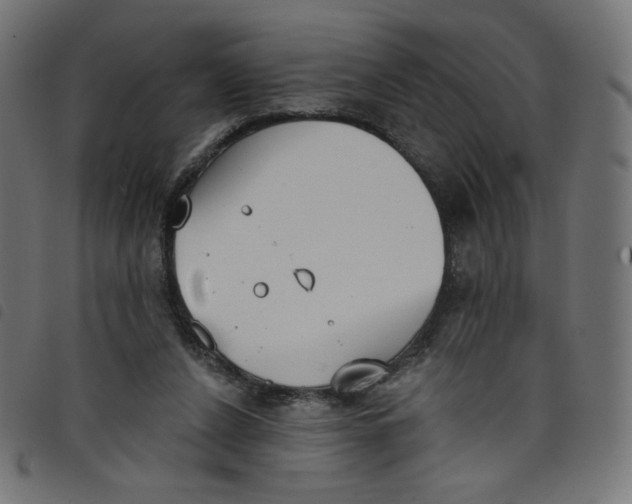 X0000098110256200804251434