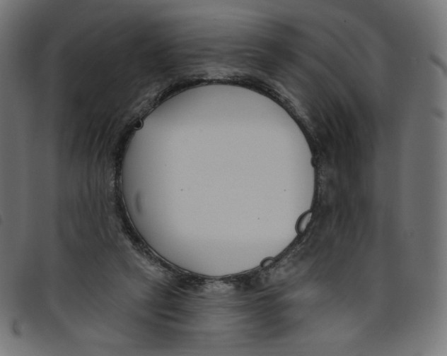 X0000098110257200804251435