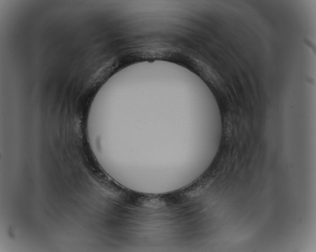 X0000098110258200804251435