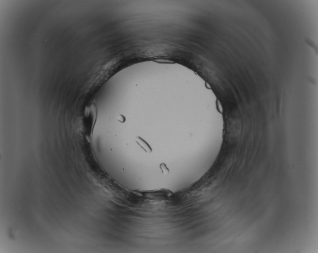 X0000098110260200804251435