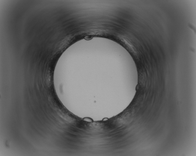 X0000098110261200804251435