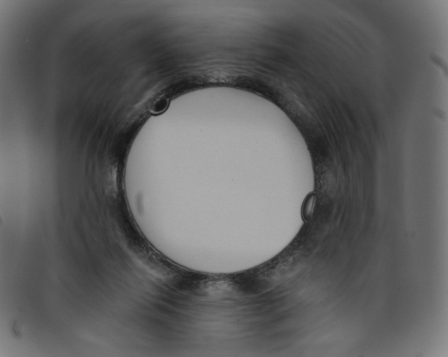 X0000098110262200804251435