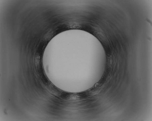 X0000098110263200804251435