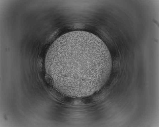 X0000098110264200804251435