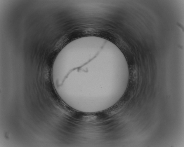 X0000098110266200804251435