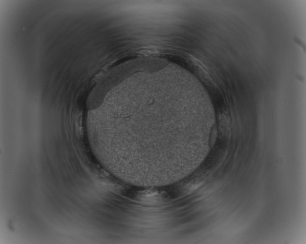 X0000098110267200804251435