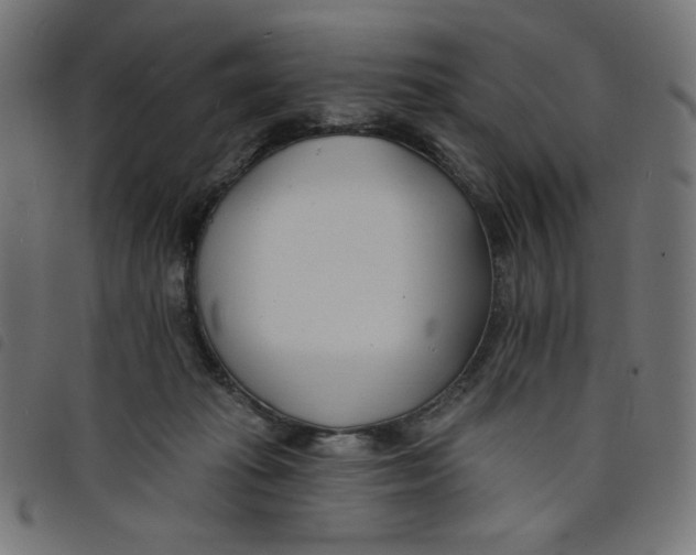 X0000098110269200804251435