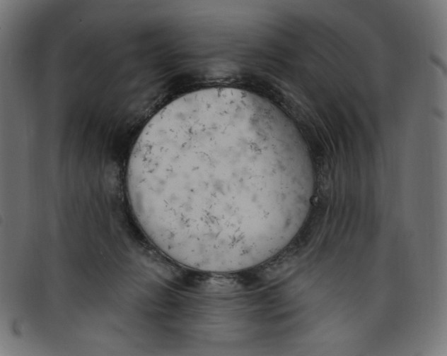 X0000098110270200804251435