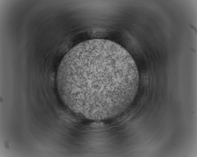 X0000098110271200804251435