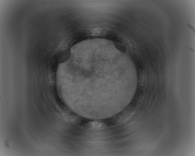 X0000098110272200804251435