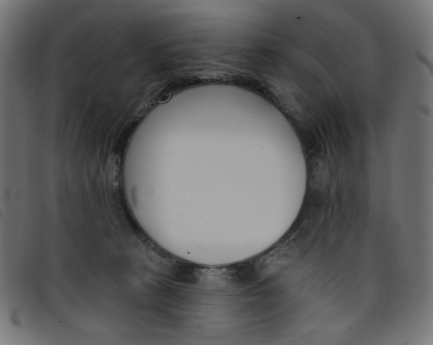 X0000098110273200804251435