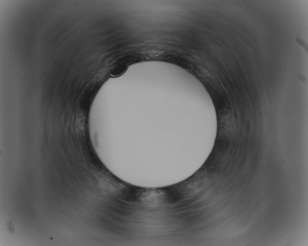 X0000098110274200804251435