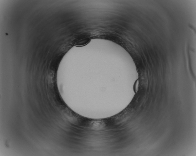 X0000098110275200804251435